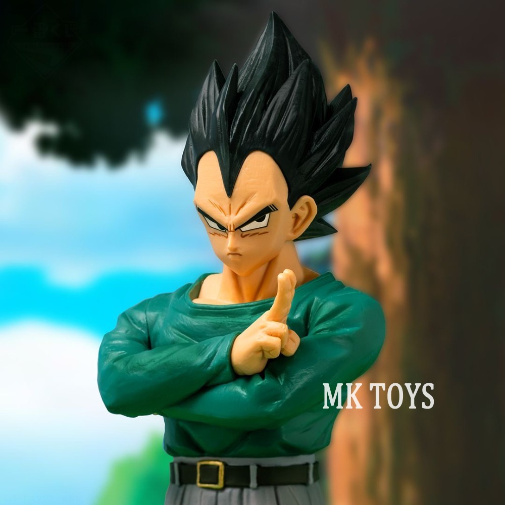 25cm/9.84in Anime Dragon Ball  - огляд і ціна Model Kit Vegeta