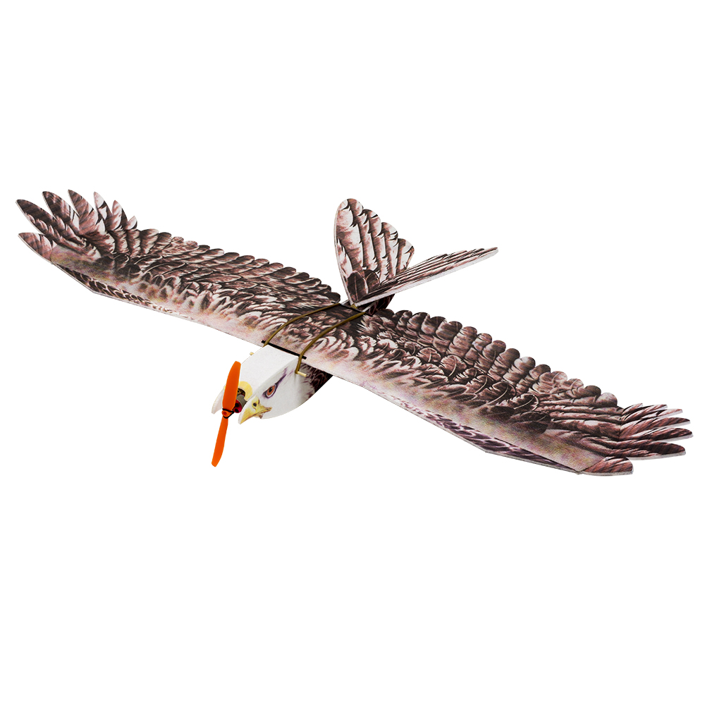 DW Hobby Eagle II EPP Airplane - огляд і ціна Model Kit Expert