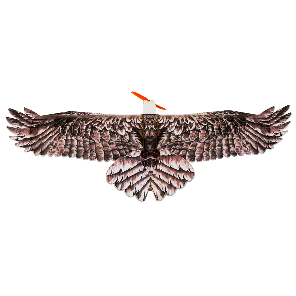 DW Hobby Eagle II EPP Airplane - огляд і ціна Model Kit Expert